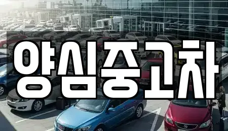 경기 광주시 남종면 중고차 전문 양심중고차