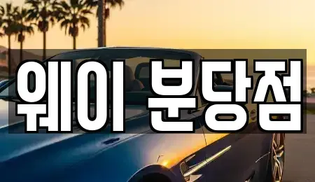 경기 광주시 신현동 단기렌트카 전문 웨이 분당점