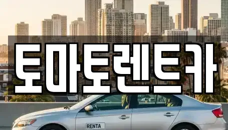 경기 광주시 신현동 렌트카 전문 토마토렌트카