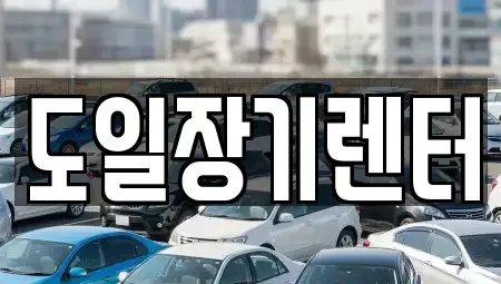 경기 광주시 신현동 장기렌트카 전문 도일장기렌터