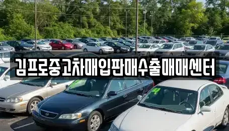 경기 광주시 신현동 중고차매입 전문 김프로중고차매입판매수출매매센터