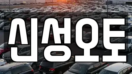 경기 수원시 권선구 권선동 중고차 전문 신성오토