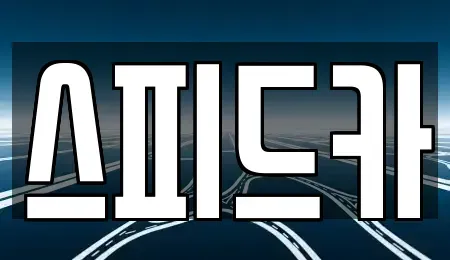 경기 수원시 권선구 권선동 중고차매매 전문 스피드카