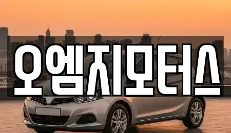 경기 수원시 권선구 권선동 중고차매매 전문 오엠지모터스