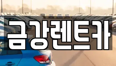 경기 수원시 장안구 율전동 렌트카 전문 금강렌트카