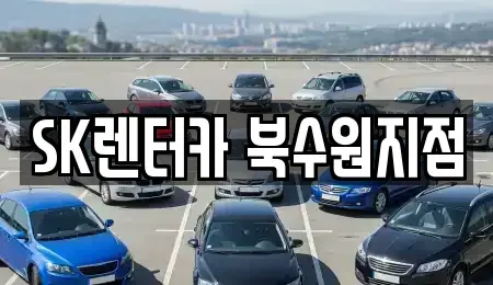 경기 수원시 장안구 율전동 장기렌트카 전문 SK렌터카 북수원지점