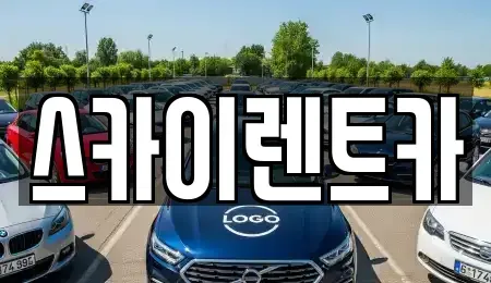경기 수원시 장안구 율전동 장기렌트카 전문 스카이렌트카