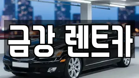 경기 수원시 팔달구 영동 렌트카 전문 금강 렌트카