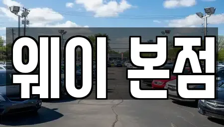 경기 안양시 단기렌트카 전문 웨이 본점