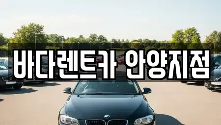 경기 안양시 장기렌트카 전문 바다렌트카 안양지점