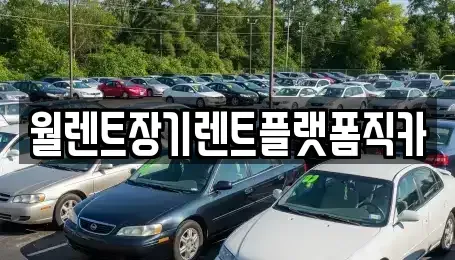 경기 안양시 장기렌트카 전문 월렌트장기렌트플랫폼직카