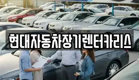 경기 안양시 장기렌트카 전문 현대자동차장기렌터카리스