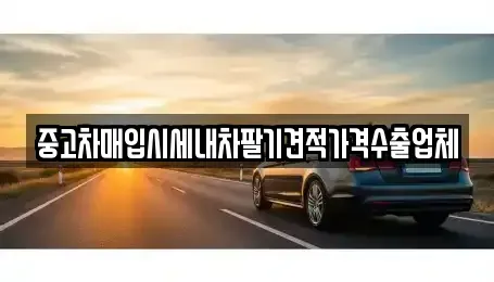 경기 안양시 중고차매입 전문 중고차매입시세내차팔기견적가격수출업체