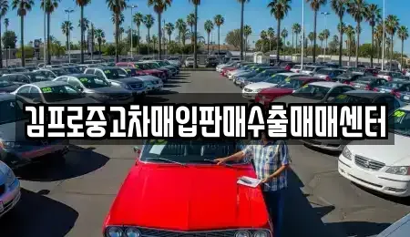 경기 오산시 청호동 중고차매입 전문 김프로중고차매입판매수출매매센터