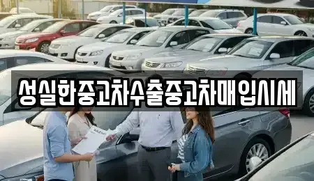 경기 의왕시 내손동 중고차 전문 성실한중고차수출중고차매입시세