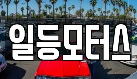 경기 의왕시 내손동 중고차 전문 일등모터스