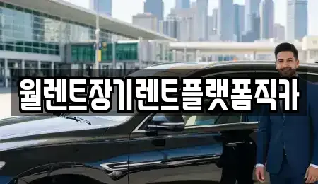 경기도 광주시 목현동 렌트카 전문 월렌트장기렌트플랫폼직카