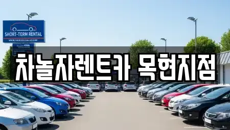 경기도 광주시 목현동 렌트카 전문 차놀자렌트카 목현지점