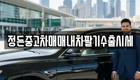 경기도 광주시 목현동 중고차 전문 정든중고차매매내차팔기수출시세