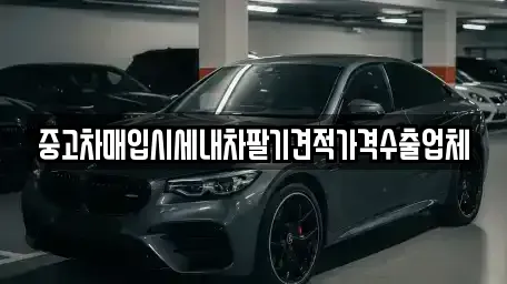 경기도 광주시 목현동 중고차매입 전문 중고차매입시세내차팔기견적가격수출업체