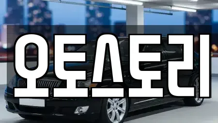 경기도 양주시 삼숭동 중고차 전문 오토스토리