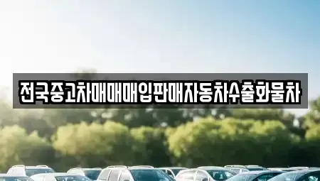 경기도 양주시 삼숭동 중고차매입 전문 전국중고차매매매입판매자동차수출화물차