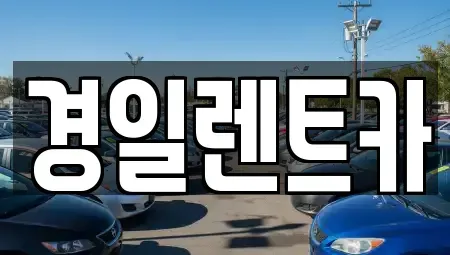 경기도 용인시 기흥구 보정동 렌트카 전문 경일렌트카