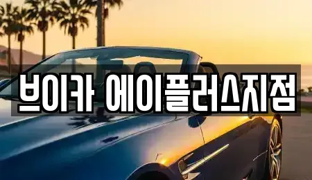 경기도 용인시 기흥구 보정동 렌트카 전문 브이카 에이플러스지점