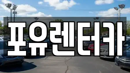 경기도 용인시 기흥구 보정동 렌트카 전문 포유렌터카