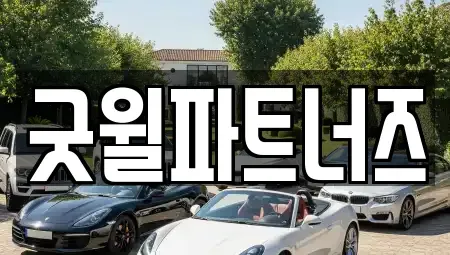 경기도 용인시 기흥구 보정동 장기렌트카 전문 굿윌파트너즈