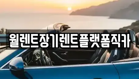 경기도 용인시 기흥구 보정동 장기렌트카 전문 월렌트장기렌트플랫폼직카