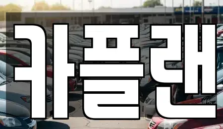 경기도 용인시 기흥구 보정동 장기렌트카 전문 카플랜