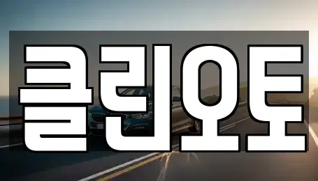 경기도 용인시 기흥구 보정동 중고차 전문 클린오토