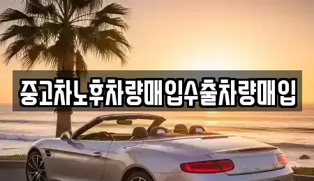 경기도 용인시 기흥구 보정동 중고차매입 전문 중고차노후차량매입수출차량매입