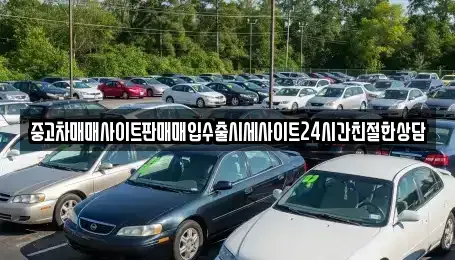 경기도 용인시 기흥구 보정동 중고차매입 전문 중고차매매사이트판매매입수출시세사이트24시간친절한상담