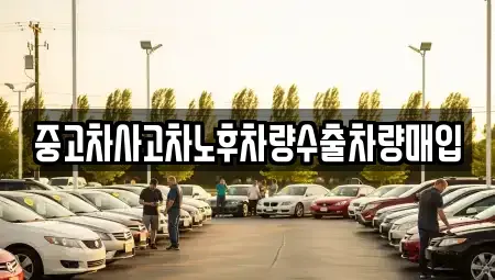 경기도 용인시 기흥구 보정동 중고차매입 전문 중고차사고차노후차량수출차량매입