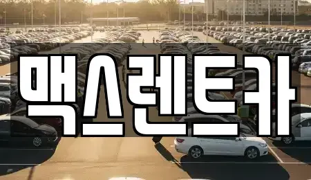 경기도 용인시 기흥구 언남동 렌트카 전문 맥스렌트카