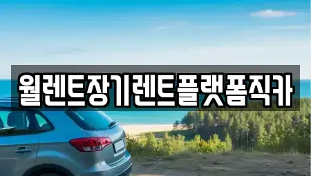 경기도 용인시 기흥구 언남동 장기렌트카,중고차,렌트카,단기렌트카,중고차매입,중고차매매