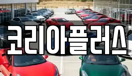 경기도 용인시 기흥구 언남동 장기렌트카 전문 코리아플러스