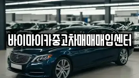 경기도 용인시 기흥구 언남동 중고차 전문 바이마이카중고차매매매입센터