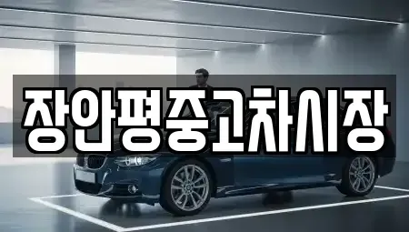 경기도 용인시 기흥구 언남동 중고차 전문 장안평중고차시장