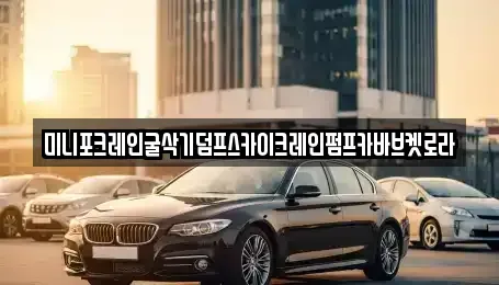 경기도 용인시 기흥구 언남동 중고차매입 전문 미니포크레인굴삭기덤프스카이크레인펌프카바브켓로라