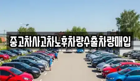 경기도 용인시 기흥구 언남동 중고차매입 전문 중고차사고차노후차량수출차량매입