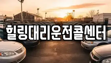 경기도 용인시 처인구 운학동 렌트카 전문 힐링대리운전콜센터