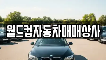 경기도 용인시 처인구 운학동 중고차매매,단기렌트카,중고차매입,장기렌트카,중고차,렌트카