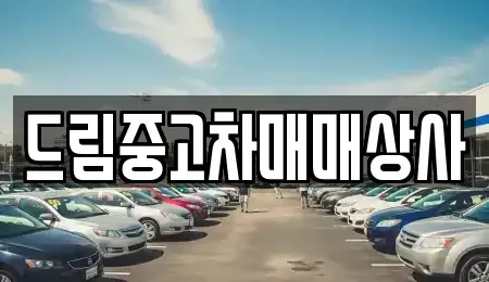 경남 거제시 덕포동 중고차 전문 드림중고차매매상사