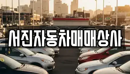 경남 거제시 덕포동 중고차매매 전문 서진자동차매매상사