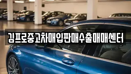 경남 합천군 율곡면 중고차 전문 김프로중고차매입판매수출매매센터