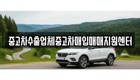 경북 경주시 용강동 중고차매입 전문 중고차수출업체중고차매입매매지원센터
