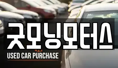 경북 영천시 청통면 중고차 전문 굿모닝모터스